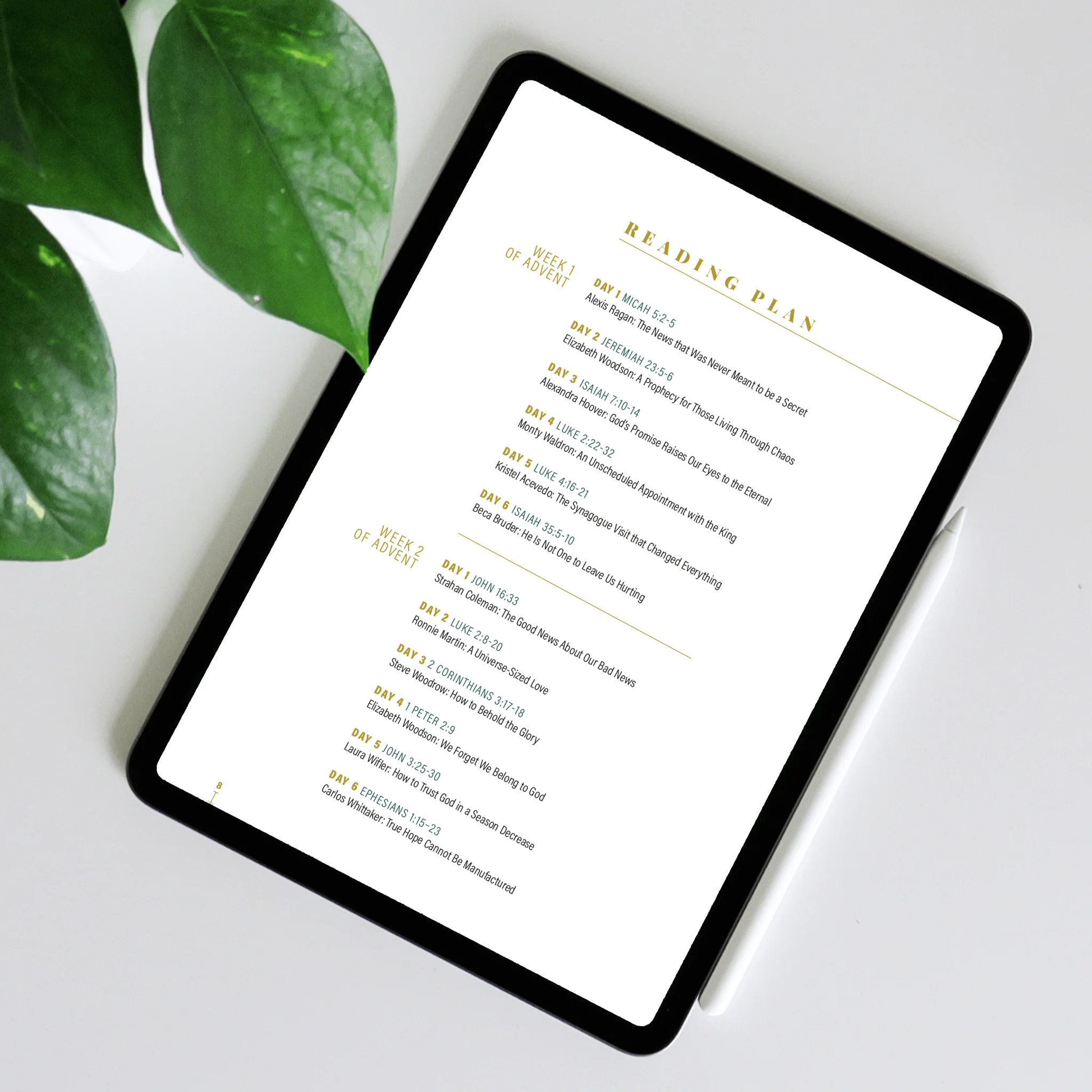 Advent 2023: 4-Week Devotional Guide (Digital Distribution) - Image 3